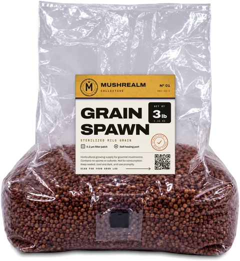 Sterilized milo grain spawn bag, 3 lb